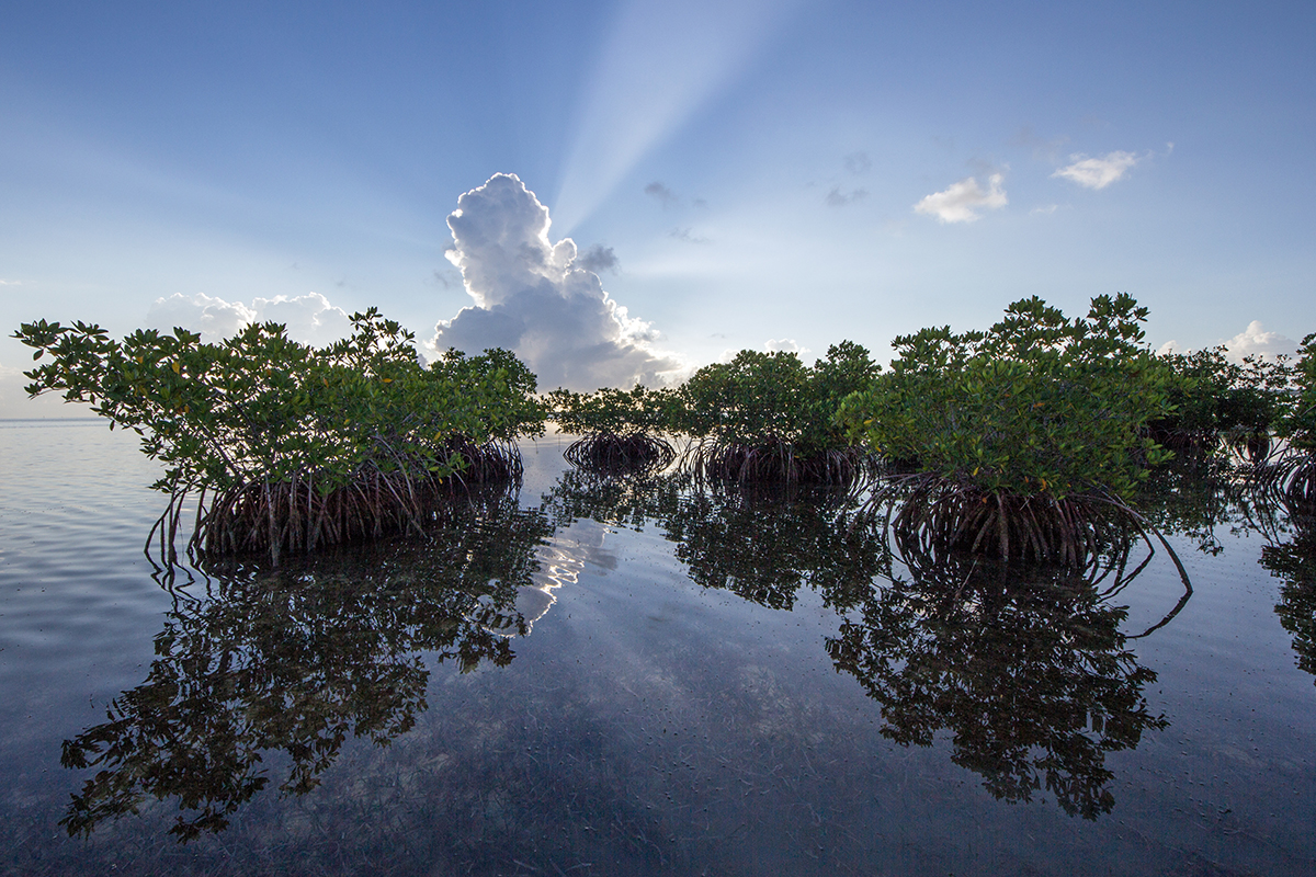 Biscayne National Park Facts and History Explained 7