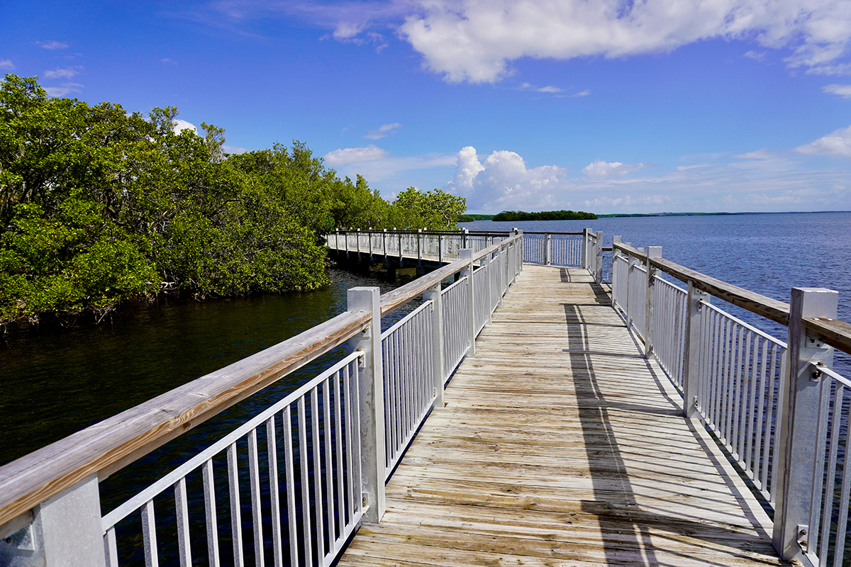 Biscayne National Park Facts and History Explained 8