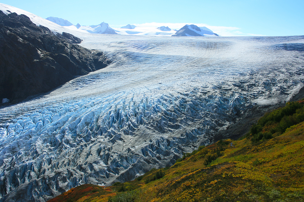 Discover Amazing Kenai Fjords National Park Facts 3