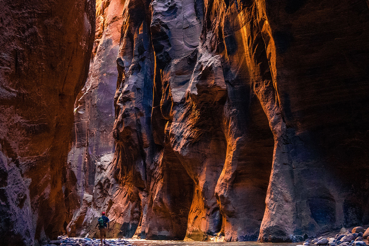 Your Guide to the Best Time to Visit Zion National Park 1