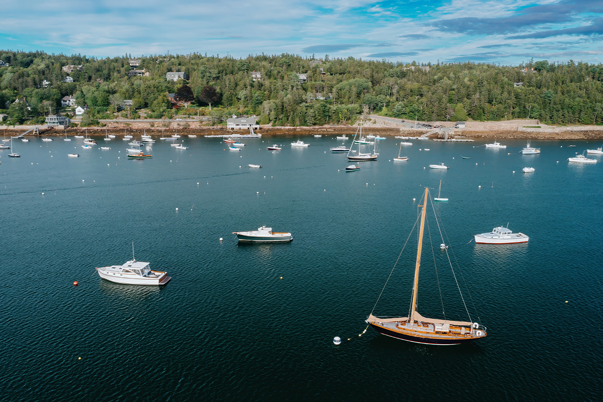 Discover the Best Time to Visit Acadia National Park 7