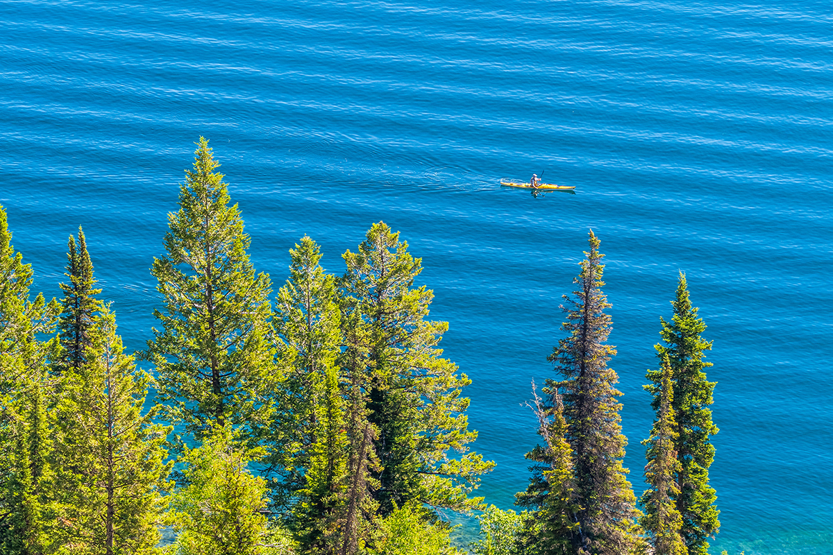 Know the Best Time to Visit Grand Teton National Park 22