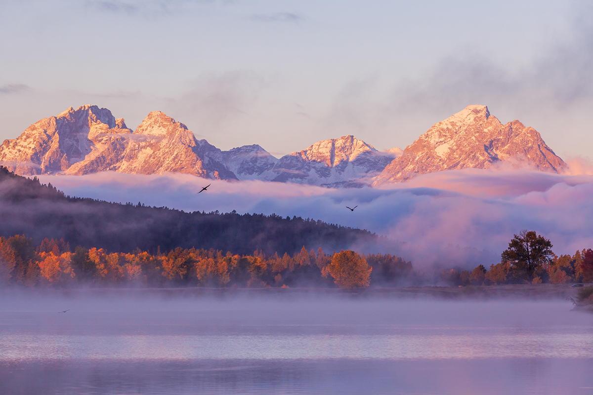 Know the Best Time to Visit Grand Teton National Park 23