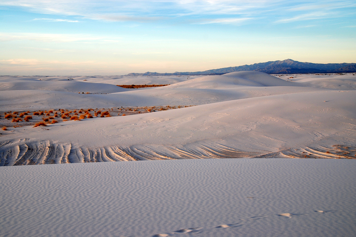 Best Time to Visit White Sands National Park by Season 9