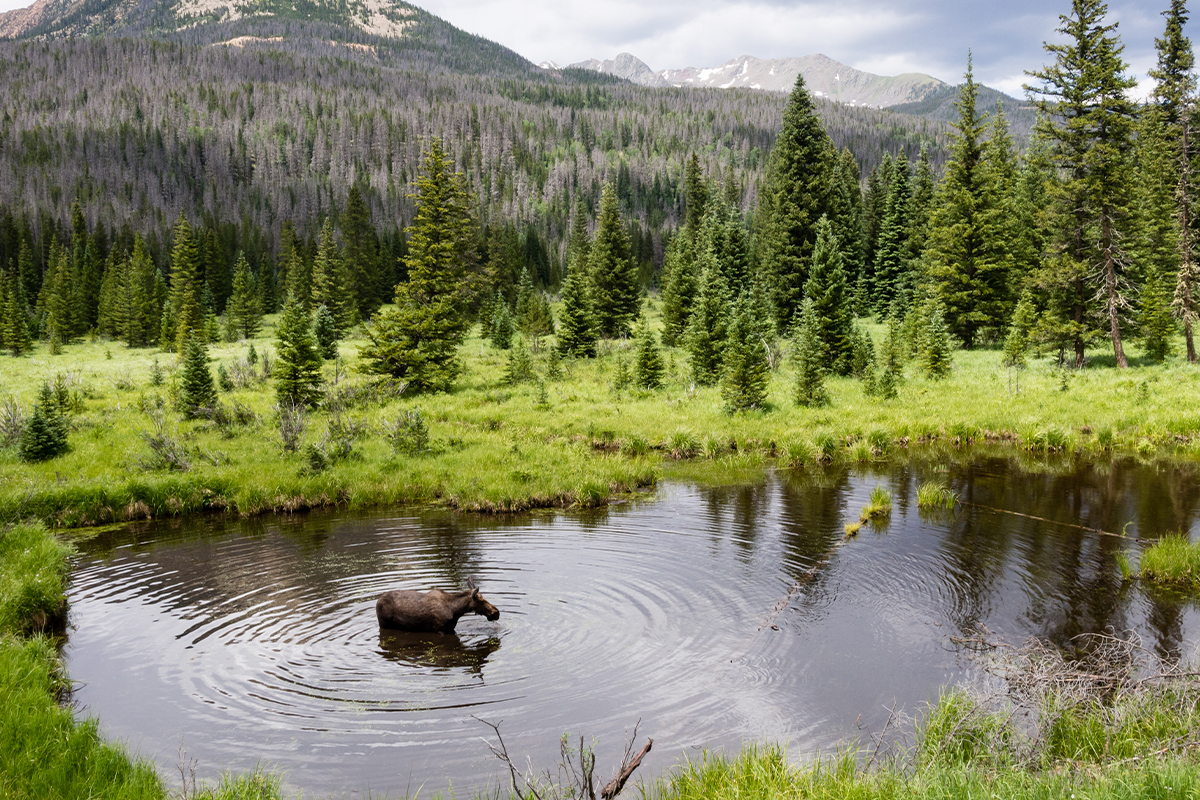 Planning the Best Time to Visit Rocky Mountain National Park 1