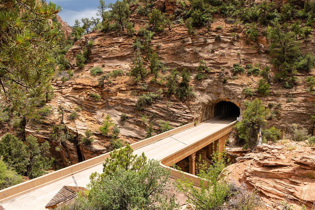 Road Trip From Grand Canyon to Zion National Park: Travel Tips 3