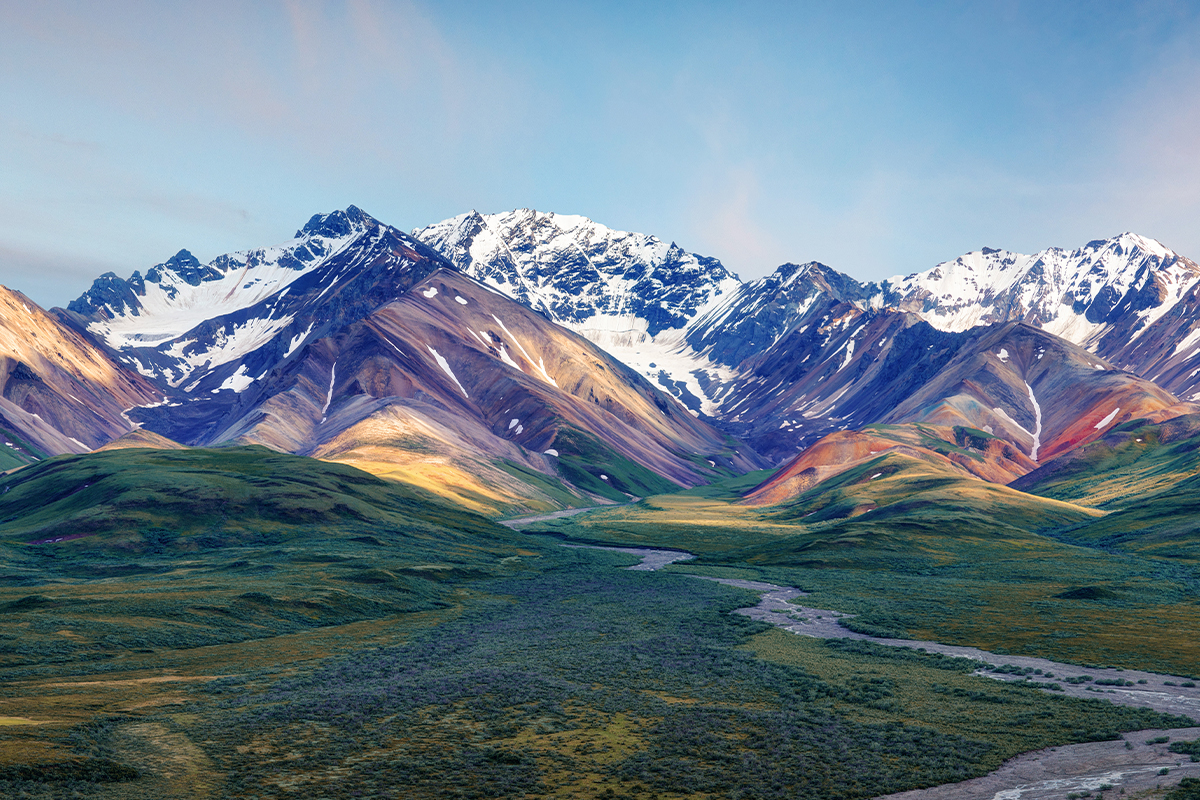 Animals in Denali National Park: A Visitor's Guide to the Big 5 & Beyond 35