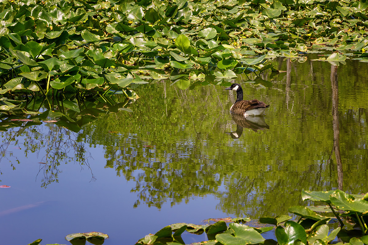 The 5 Best Hikes in Cuyahoga Valley National Park for Unforgettable Views 3