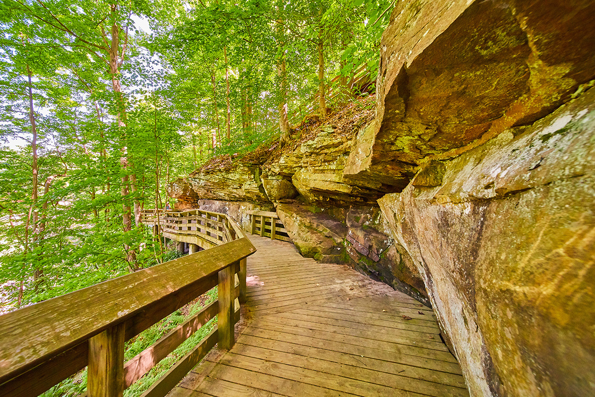 The 5 Best Hikes in Cuyahoga Valley National Park for Unforgettable Views 4