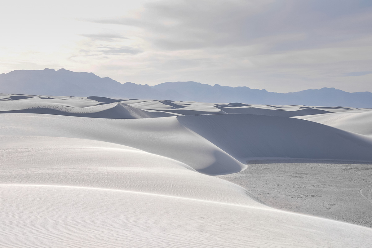 Best Things to Do at White Sands National Park: The Ultimate Adventure Guide 10