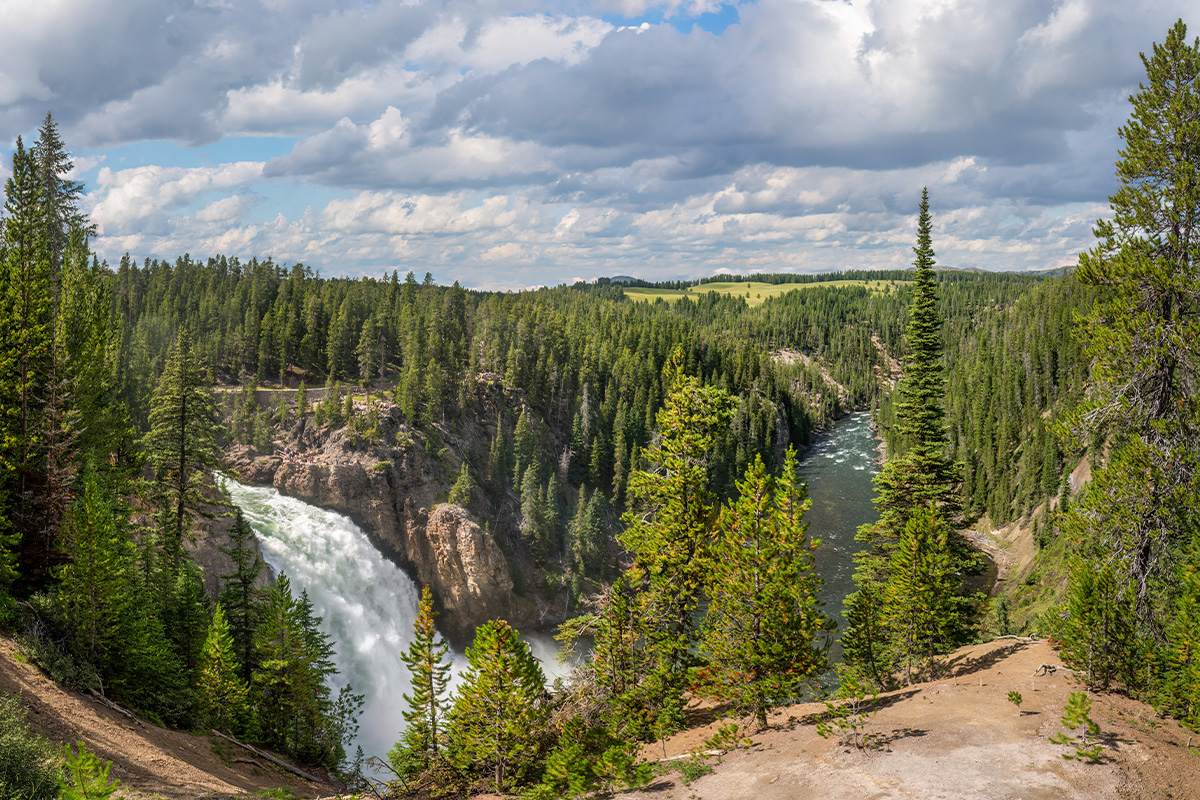 Best Hikes in Yellowstone National Park: Top Trails