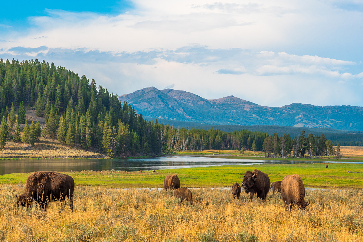 Best Hikes in Yellowstone National Park: Top Trails 10