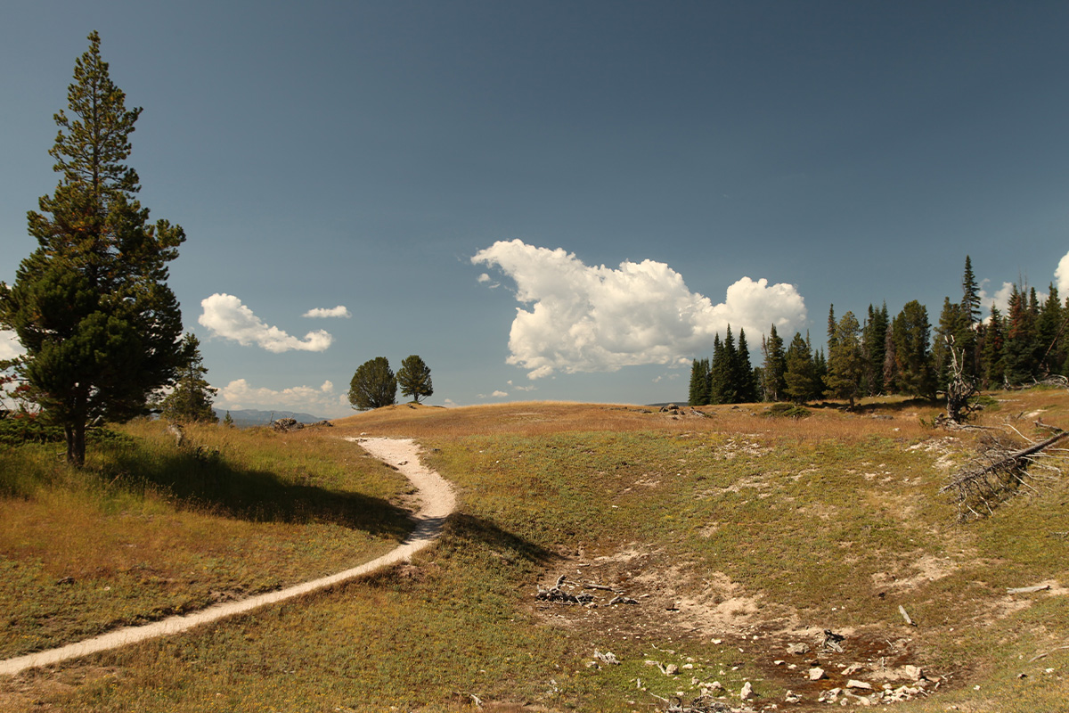 Best Hikes in Yellowstone National Park: Top Trails 15