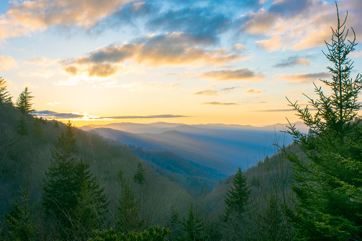 The Ultimate Guide to Great Smoky Mountains National Park Animals 8