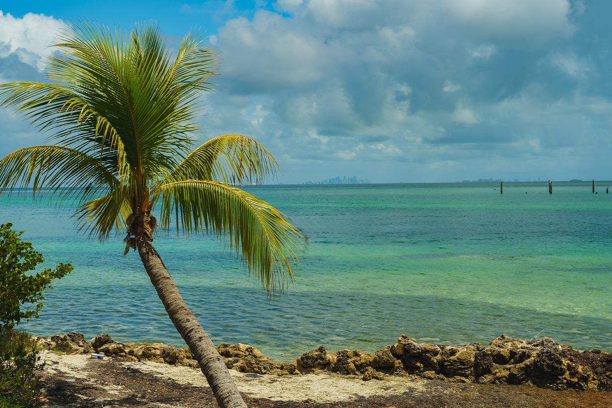 The Best Things to Do in Biscayne National Park: A Complete Guide8