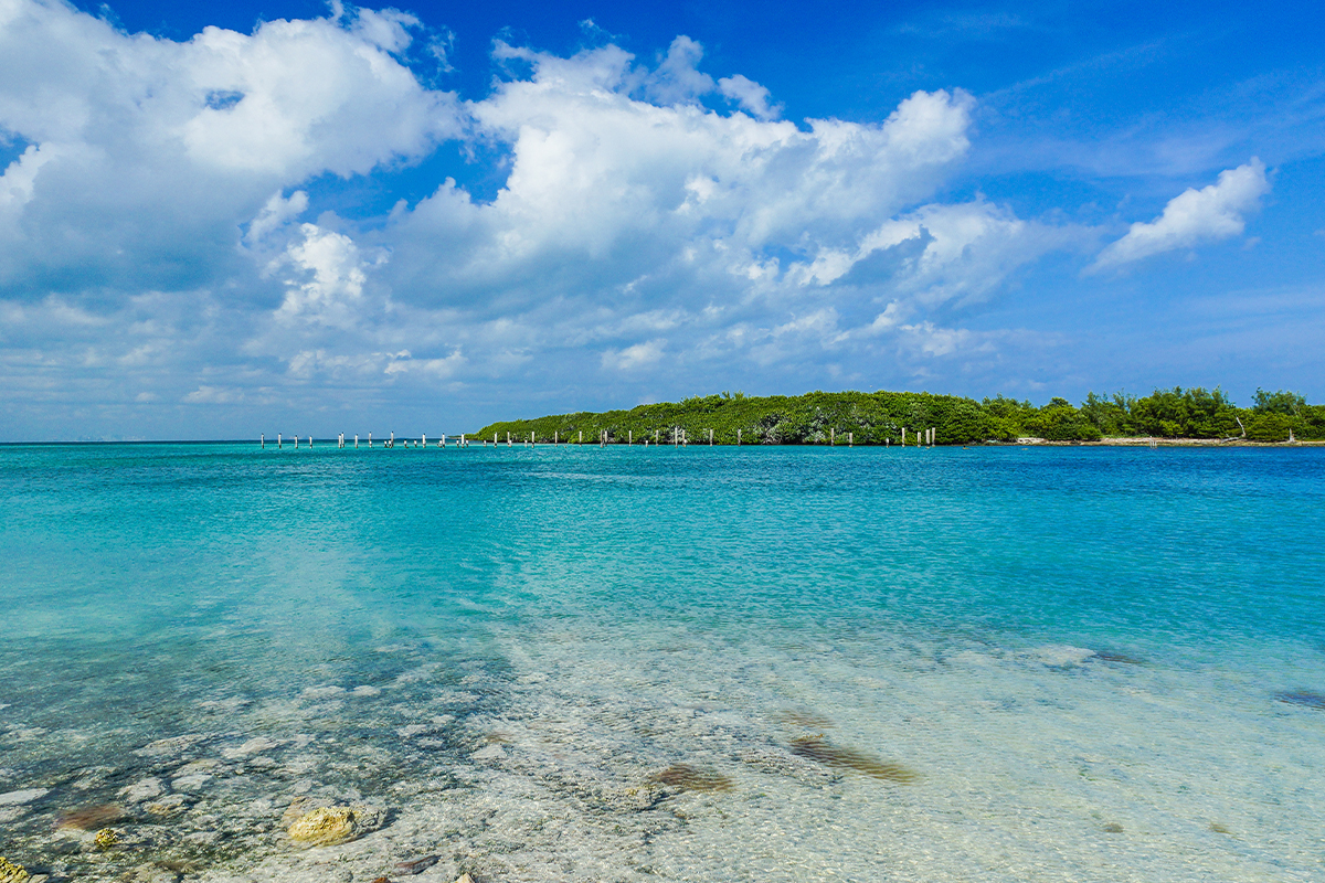 The Best Things to Do in Biscayne National Park: A Complete Guide 5