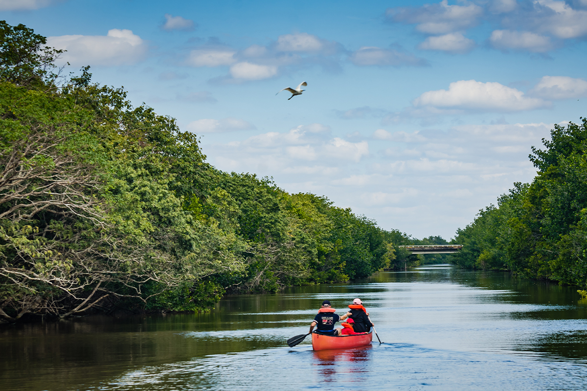 The Best Things to Do in Biscayne National Park: A Complete Guide 6