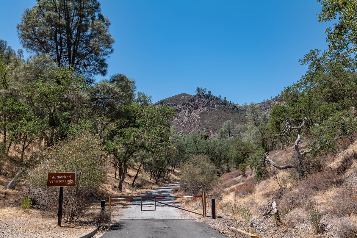 The Ultimate Guide to Things to Do in Pinnacles National Park 2