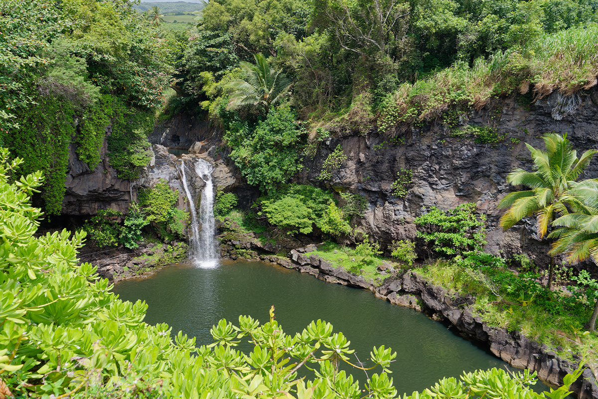 The Ultimate Guide to Things to Do in Haleakala National Park 9