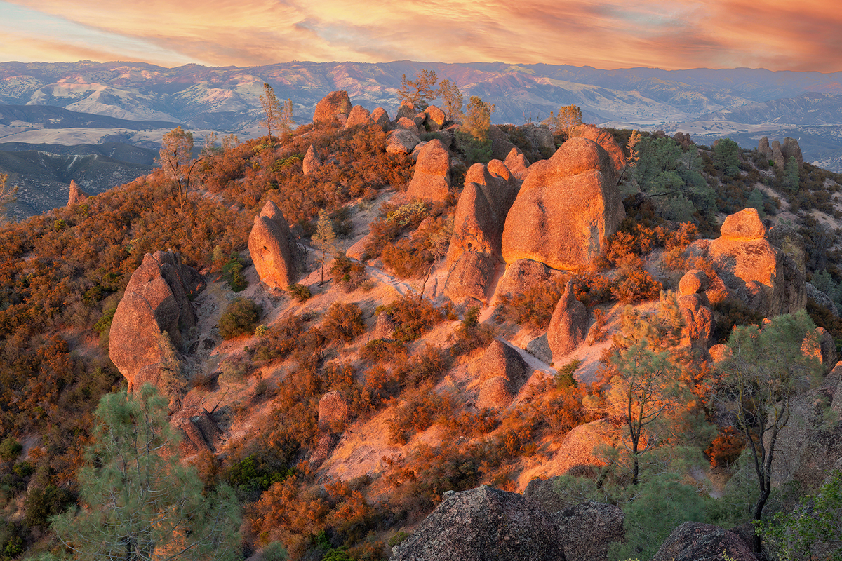 The Ultimate Guide to Things to Do in Pinnacles National Park 3