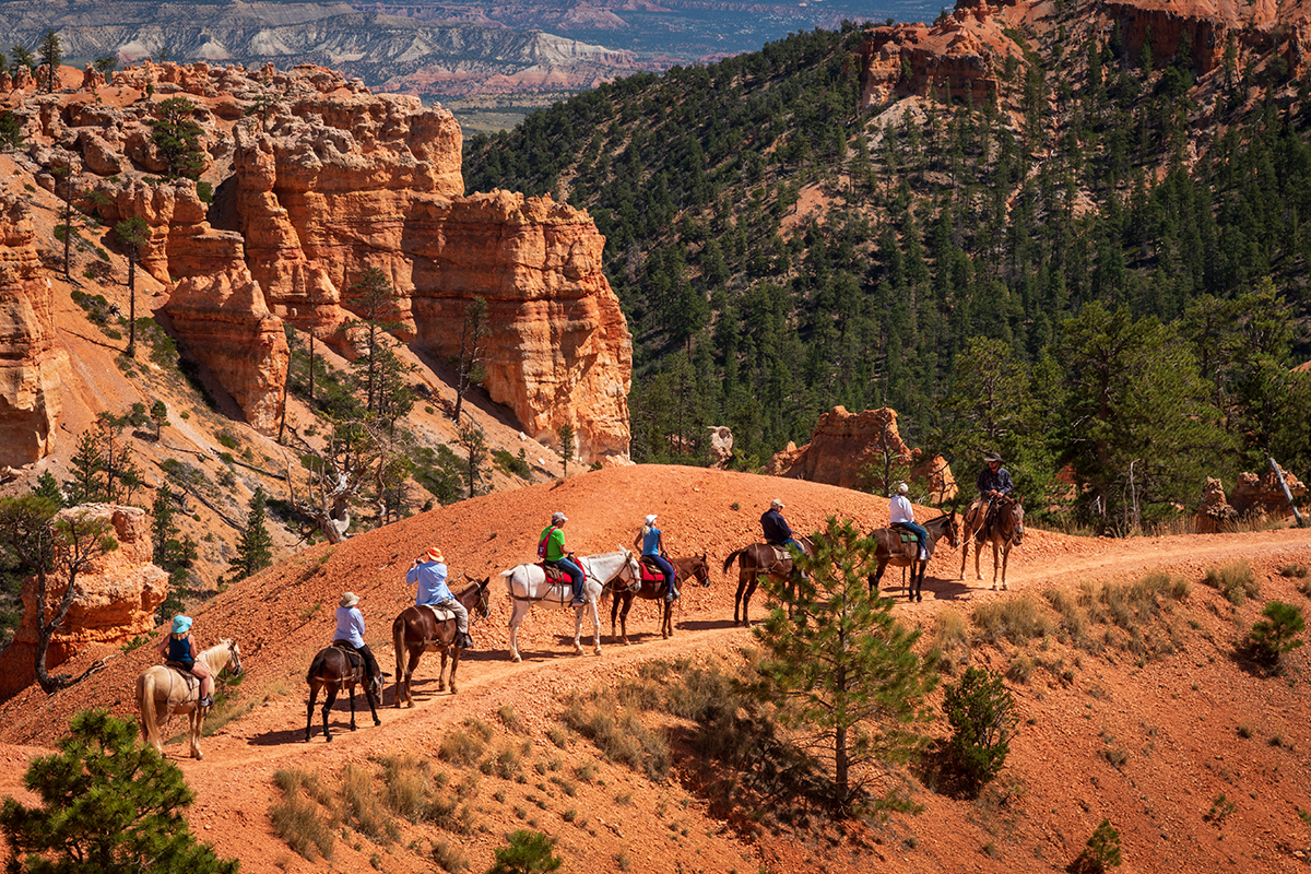 Best Things to Do in Bryce Canyon National Park 17