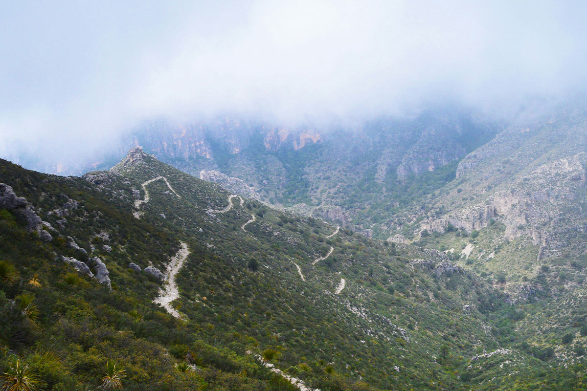 Best Things to Do in Guadalupe Mountains National Park 1