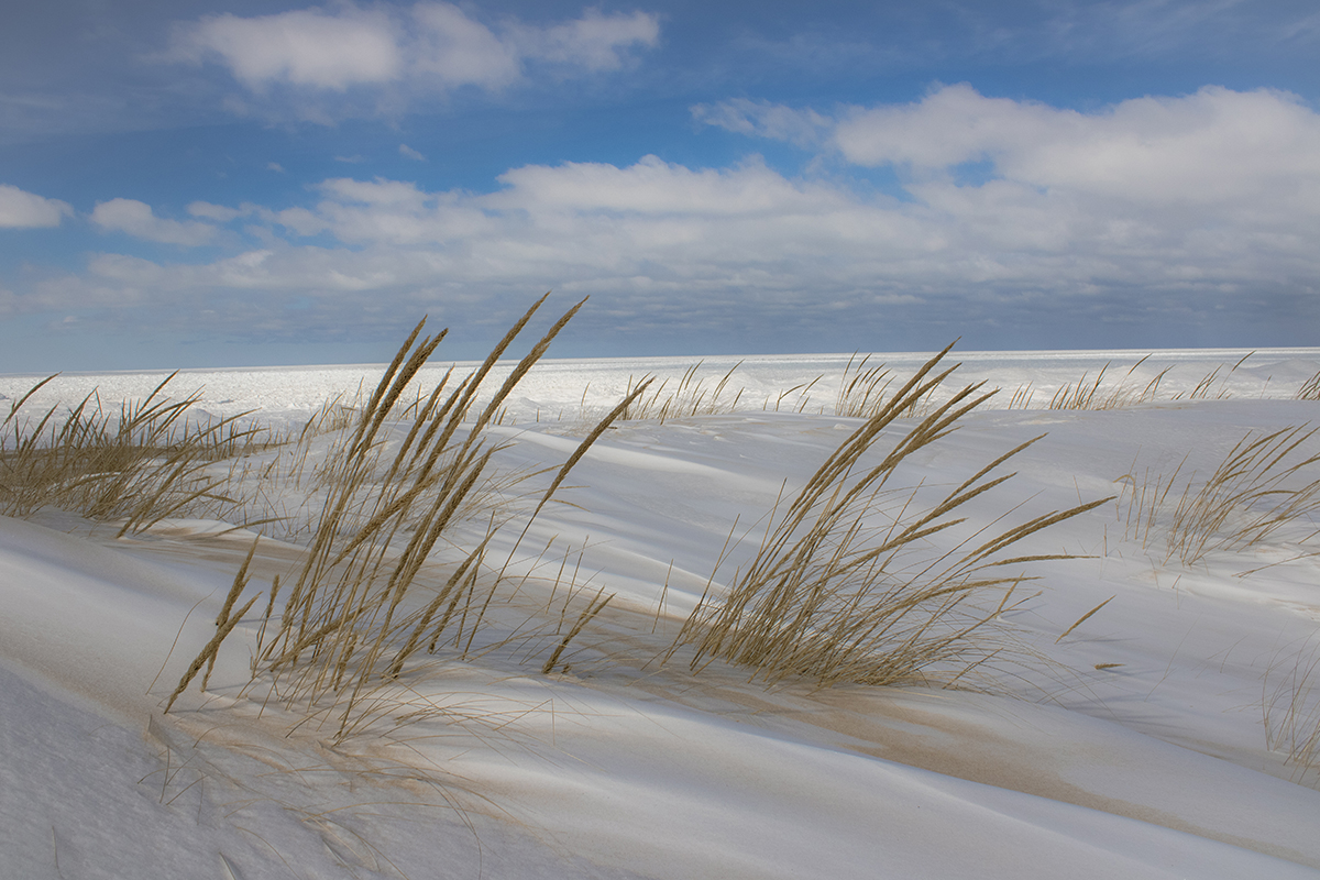 Best Things to Do in Indiana Dunes National Park 1
