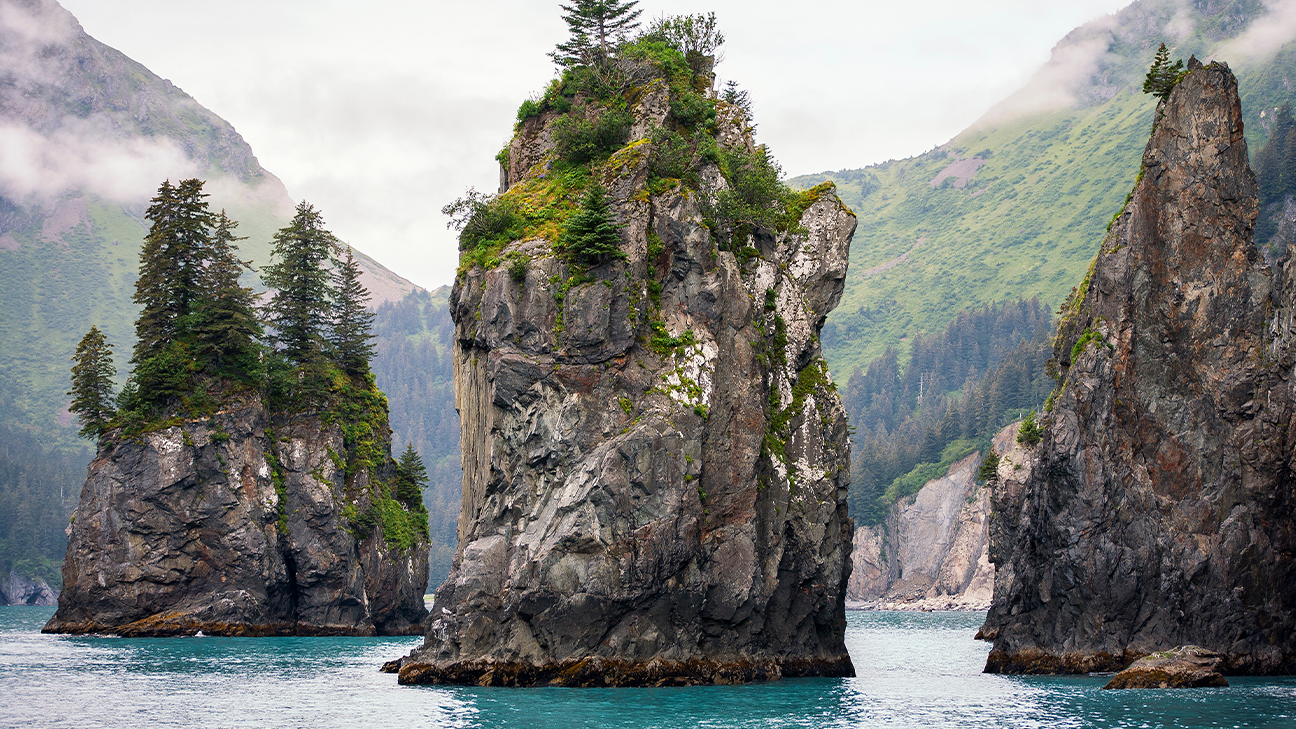 Best Things to Do in Kenai Fjords National Park 4