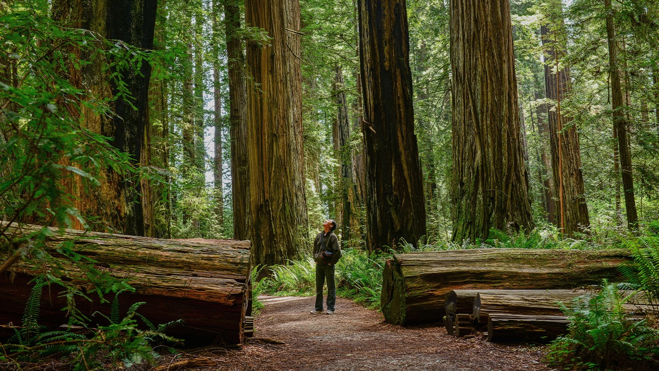 Best Hikes in Redwood National and State Parks fi