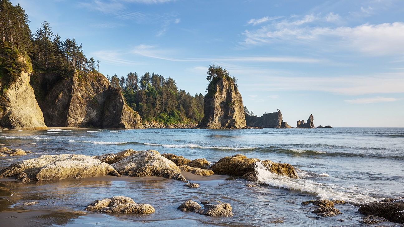 Uncover Incredible Olympic National Park Facts Today fi