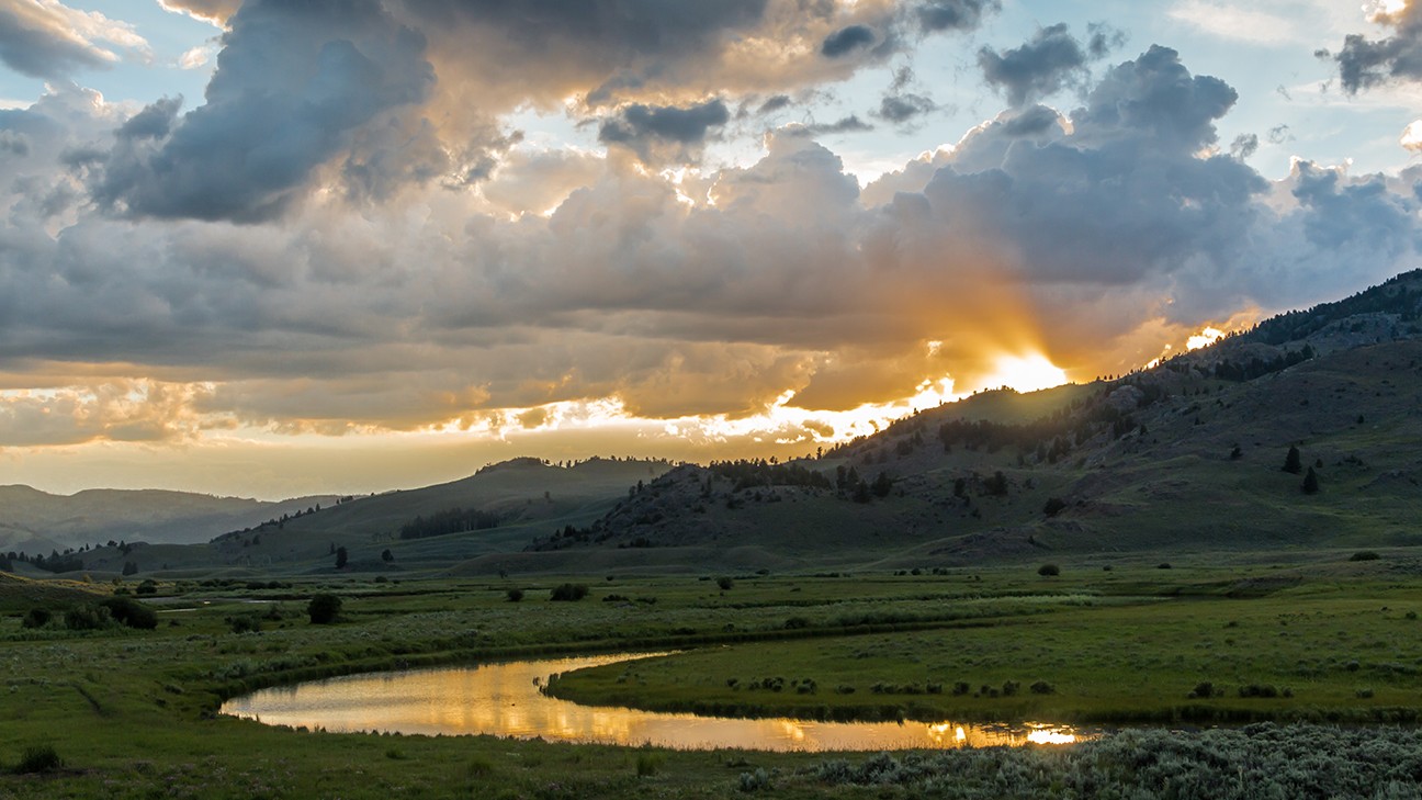 Top Yellowstone National Park Facts You Should Know fi