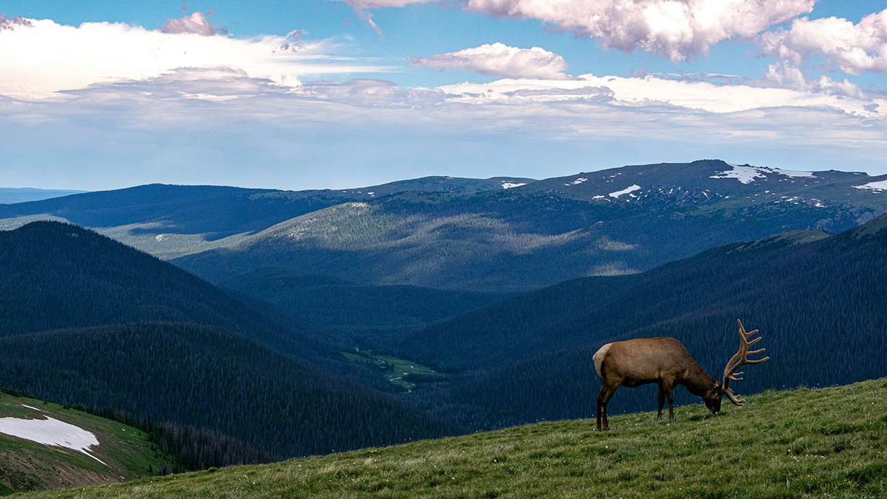Planning the Best Time to Visit Rocky Mountain National Park fi
