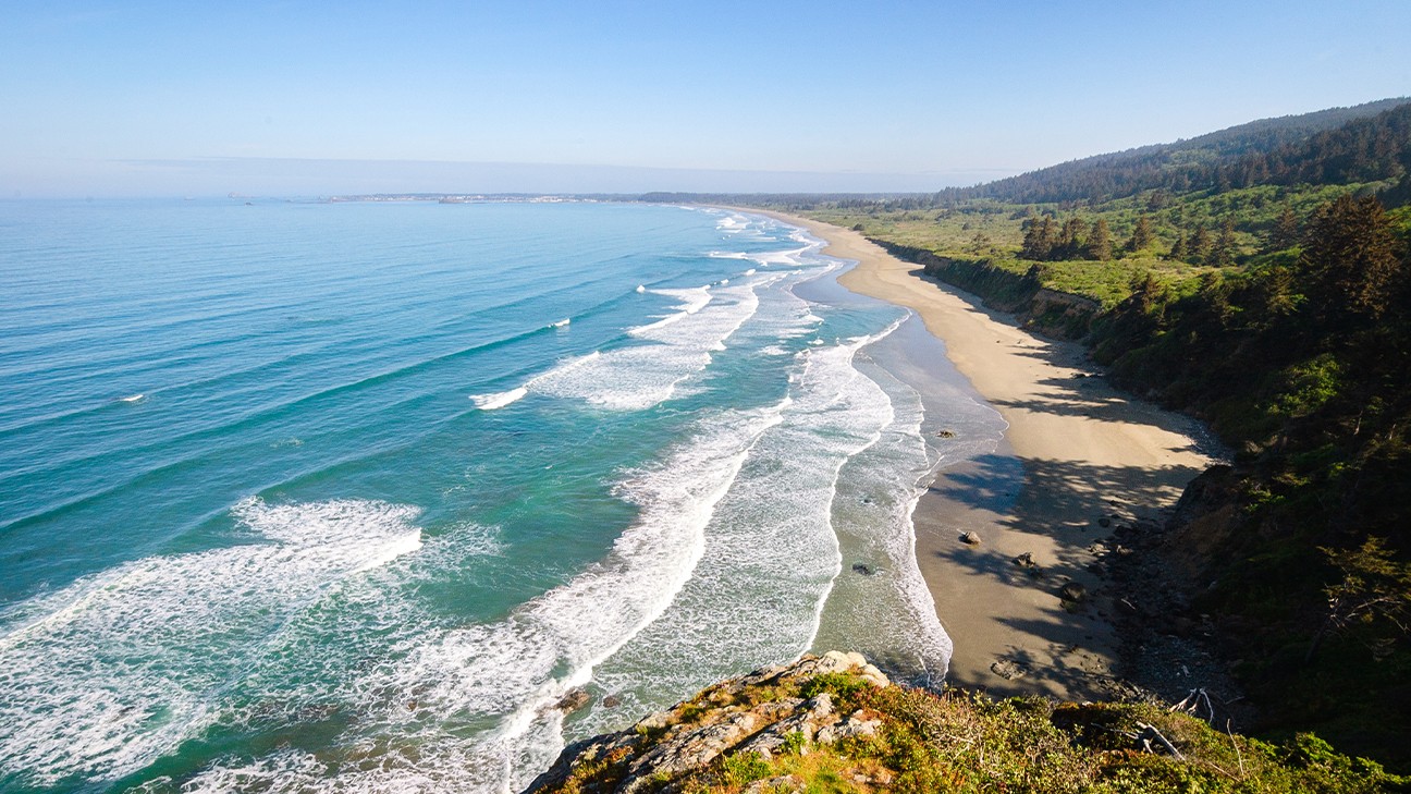 Your Guide to the Best Time to Visit Redwood National Park fi