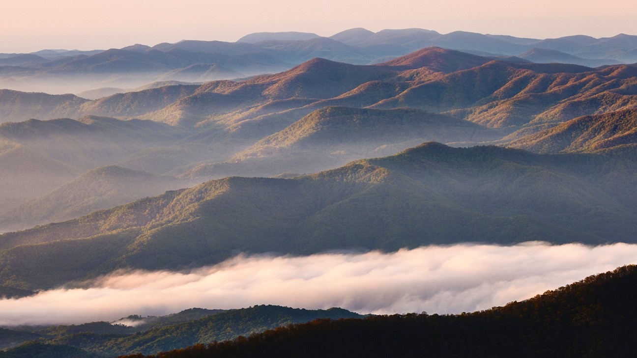 The Ultimate Guide to Great Smoky Mountains National Park Animals fi