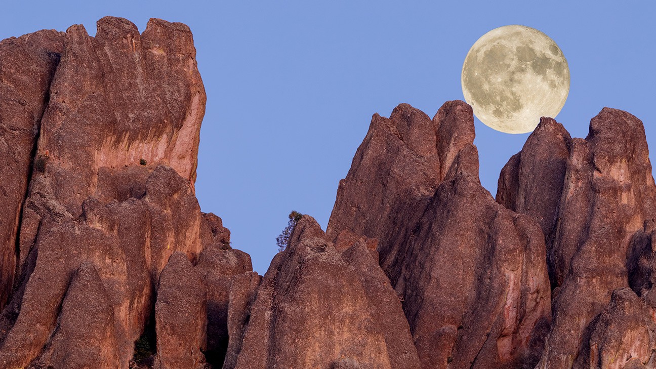 The Ultimate Guide to Things to Do in Pinnacles National Park fi