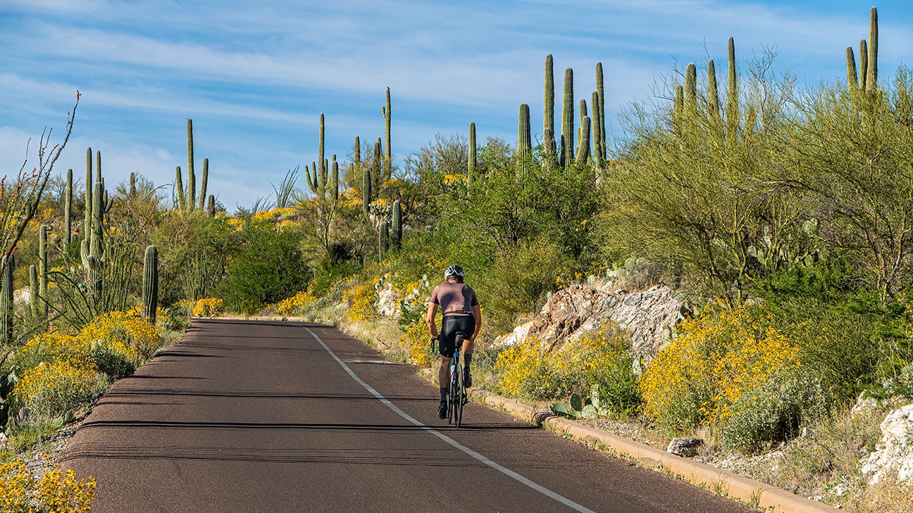 What to Do in Saguaro National Park: The Ultimate Guide fi