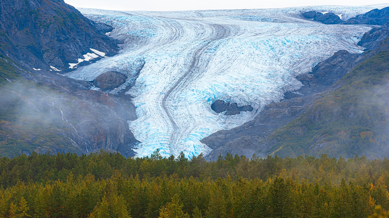 Best Things to Do in Kenai Fjords National Park fi