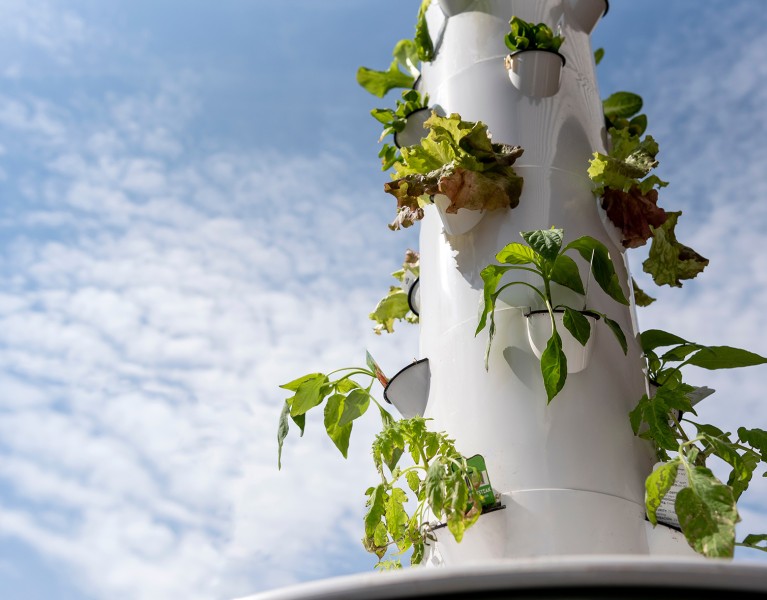 All You Need To Know About Vertical Gardens FI
