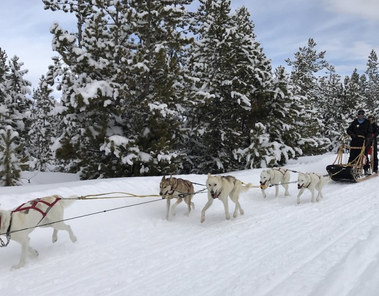 Winter Fun in Grand County, Colorado