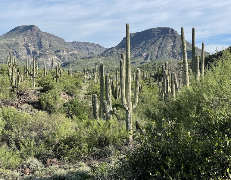 Trip Report: Arizona’s Civana Wellness Resort & Spa