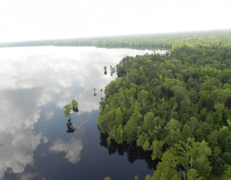 A Tour of America's Greatest Swamps