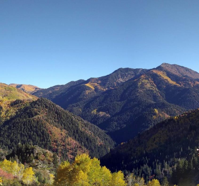 Ultimate Guide to Fall Trail Running near Salt Lake City