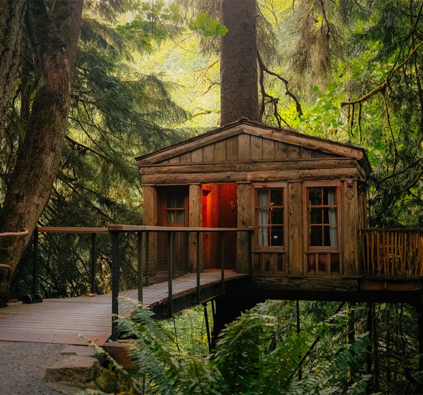 Treehouse Lodging Cabins in USA - Temple of the Blue Moon Cabin