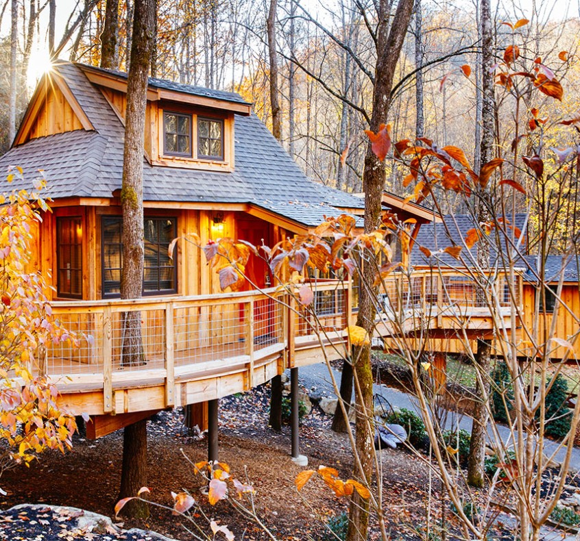Treehouse Lodging Cabins in USA