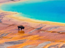 Best Things to Do in Yellowstone National Park fi