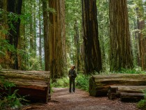 Best Hikes in Redwood National and State Parks fi