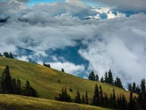 Plan the Best Time to Visit Olympic National Park and Explore fi