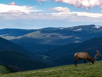 Planning the Best Time to Visit Rocky Mountain National Park fi