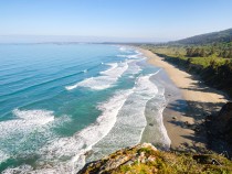 Your Guide to the Best Time to Visit Redwood National Park fi