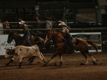 The Legacy of the Jackson Hole Rodeo: Cowboy and cowgirl in action